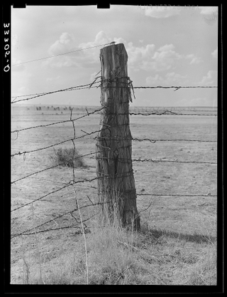 Illustration for article titled Barbed Wire